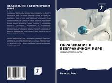 Обложка ОБРАЗОВАНИЕ В БЕЗГРАНИЧНОМ МИРЕ