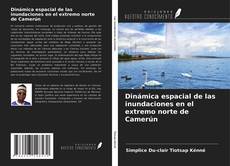 Borítókép a  Dinámica espacial de las inundaciones en el extremo norte de Camerún - hoz