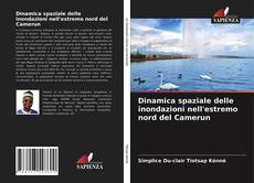 Bookcover of Dinamica spaziale delle inondazioni nell'estremo nord del Camerun