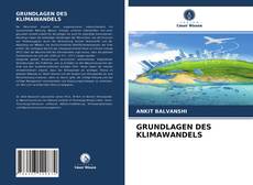 Copertina di GRUNDLAGEN DES KLIMAWANDELS