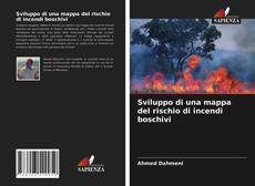 Couverture de Sviluppo di una mappa del rischio di incendi boschivi