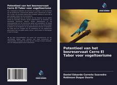 Bookcover of Potentieel van het bosreservaat Cerro El Tabor voor vogeltoerisme