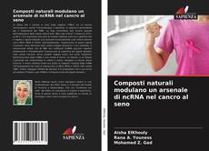 Composti naturali modulano un arsenale di ncRNA nel cancro al seno kitap kapağı