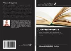 Buchcover von Ciberdelincuencia