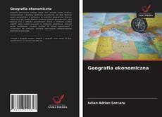 Copertina di Geografia ekonomiczna