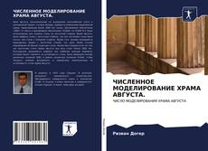 Copertina di ЧИСЛЕННОЕ МОДЕЛИРОВАНИЕ ХРАМА АВГУСТА.