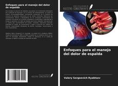 Copertina di Enfoques para el manejo del dolor de espalda