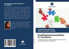 Copertina di Kreditgenossenschaften in Tocantins