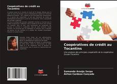 Capa do livro de Coopératives de crédit au Tocantins 