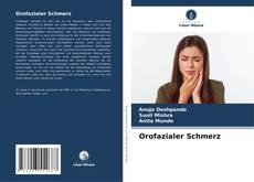Orofazialer Schmerz kitap kapağı