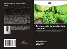 Buchcover von Technologie de production du chou
