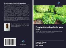 Обложка Productietechnologie van kool