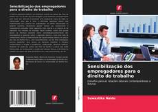 Sensibilização dos empregadores para o direito do trabalho的封面
