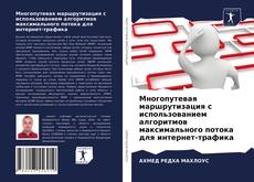 Многопутевая маршрутизация с использованием алгоритмов максимального потока для интернет-трафика的封面