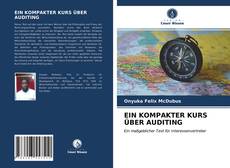 EIN KOMPAKTER KURS ÜBER AUDITING kitap kapağı