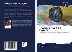 КРАТКИЙ КУРС ПО АУДИТУ kitap kapağı