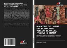 MALATTIA DEL VIRUS DEL POMODORO YELLOW LEAFCURL (TYLCV) IN GHANA kitap kapağı