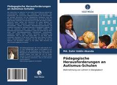 Обложка Pädagogische Herausforderungen an Autismus-Schulen