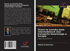 Buchcover von Ocena na szeroką skalę intermodalnych sieci transportu towarowego w Europie