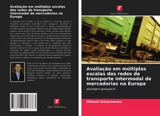 Copertina di Avaliação em múltiplas escalas das redes de transporte intermodal de mercadorias na Europa