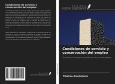 Copertina di Condiciones de servicio y conservación del empleo