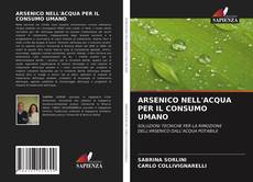 ARSENICO NELL'ACQUA PER IL CONSUMO UMANO的封面