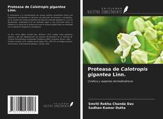 Copertina di Proteasa de Calotropis gigantea Linn.