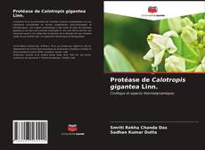 Capa do livro de Protéase de Calotropis gigantea Linn. 