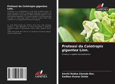 Buchcover von Proteasi da Calotropis gigantea Linn.