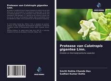 Bookcover of Protease van Calotropis gigantea Linn.