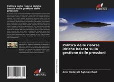 Buchcover von Politica delle risorse idriche basata sulla gestione delle pressioni