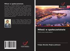 Miłość w społeczeństwie的封面