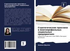 Стратегические практики в многопрофильных социальных предприятиях的封面