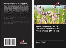 Borítókép a  Attività biologiche di Lavandula stoechas e Rosmarinus officinalis - hoz