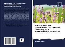 Portada del libro de Биологическая деятельность стукачей Лавандулы и Розмаринуса officinalis