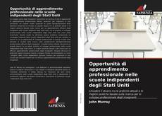 Opportunità di apprendimento professionale nelle scuole indipendenti degli Stati Uniti的封面