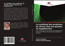 Couverture de La synthèse des protéines du stress chez les plantes en hypothermie