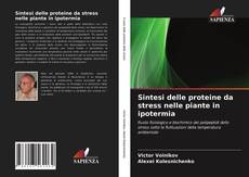 Couverture de Sintesi delle proteine da stress nelle piante in ipotermia