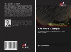 Che cos'è il tempo? kitap kapağı