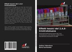 Couverture de Effetti tossici del 2,4,6-trinitrotoluene