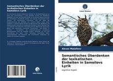 Couverture de Semantisches Überdenken der lexikalischen Einheiten in Samoilovs Lyrik