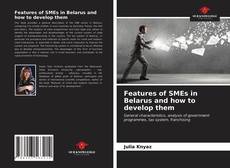 Features of SMEs in Belarus and how to develop them的封面