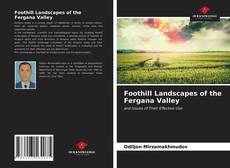 Bookcover of Foothill Landscapes of the Fergana Valley