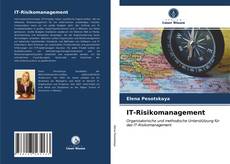 Copertina di IT-Risikomanagement