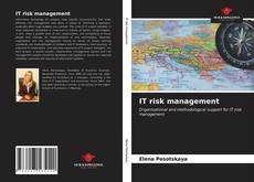 Capa do livro de IT risk management 