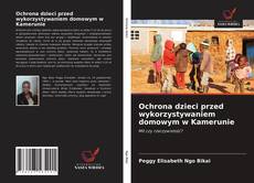 Ochrona dzieci przed wykorzystywaniem domowym w Kamerunie kitap kapağı