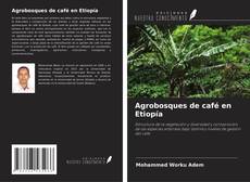 Portada del libro de Agrobosques de café en Etiopía
