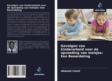 Bookcover of Gevolgen van kinderarbeid voor de opvoeding van meisjes: Een Beoordeling