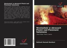 Wzniosłość w obrazach Pieśni nad Pieśniami Salomona kitap kapağı