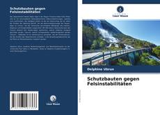 Copertina di Schutzbauten gegen Felsinstabilitäten
